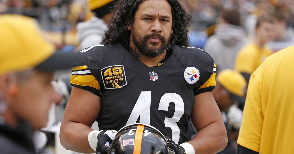 Troy Polamalu elected to Hall of Fame Annenberg Media